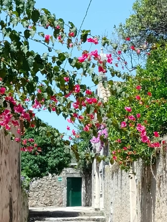 Seaview Dubrovnik Old Town Exterior foto